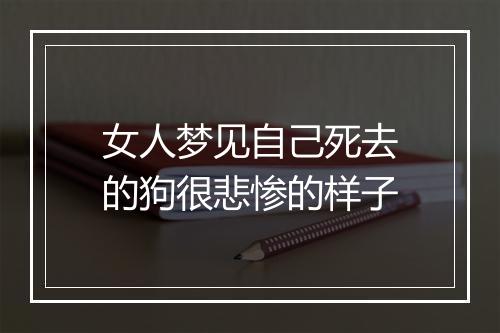 女人梦见自己死去的狗很悲惨的样子