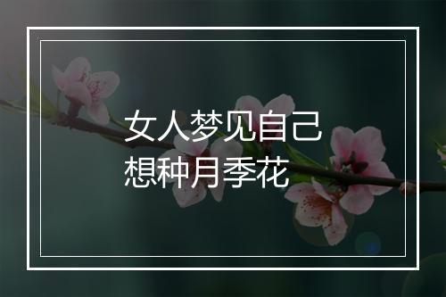 女人梦见自己想种月季花