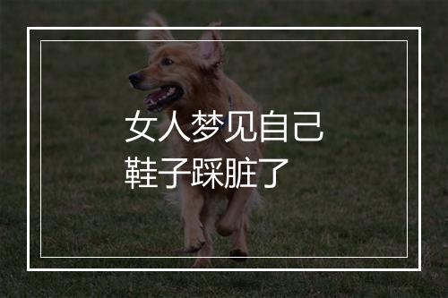 女人梦见自己鞋子踩脏了