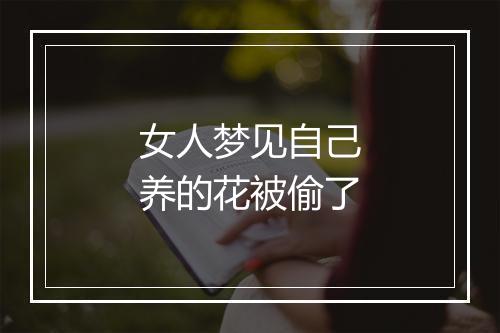 女人梦见自己养的花被偷了