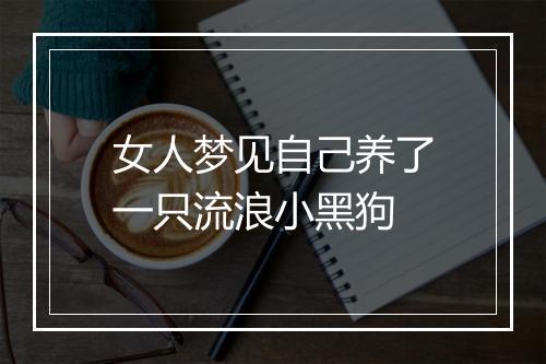 女人梦见自己养了一只流浪小黑狗