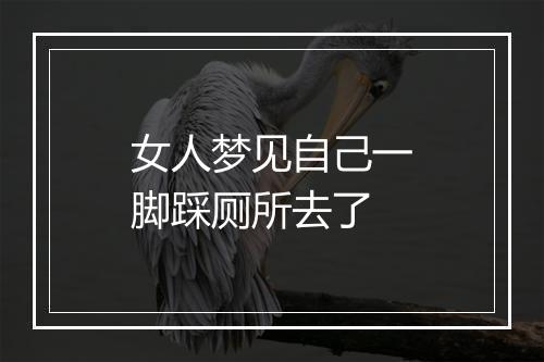 女人梦见自己一脚踩厕所去了