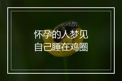 怀孕的人梦见自己睡在鸡圈