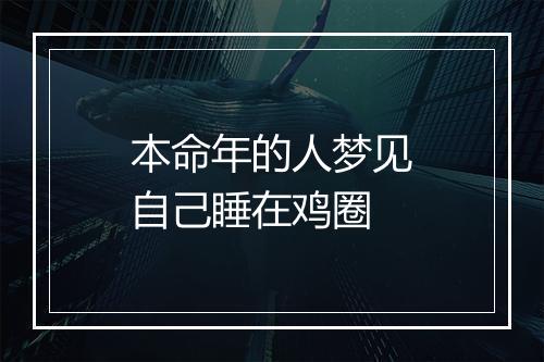 本命年的人梦见自己睡在鸡圈