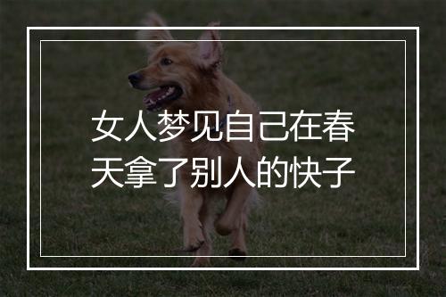 女人梦见自己在春天拿了别人的快子