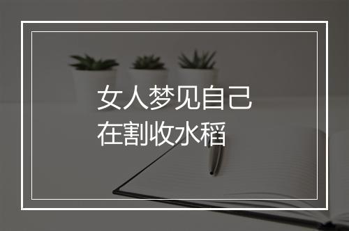 女人梦见自己在割收水稻