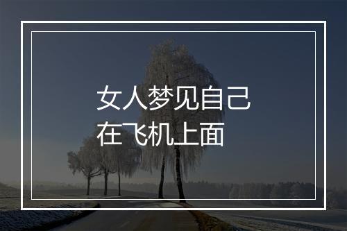 女人梦见自己在飞机上面