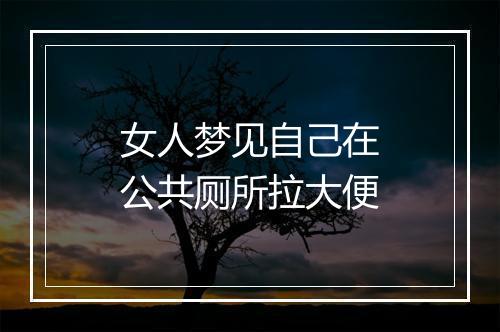 女人梦见自己在公共厕所拉大便