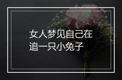 女人梦见自己在追一只小兔子