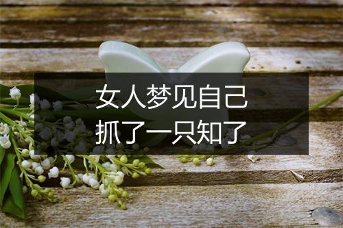 女人梦见自己抓了一只知了