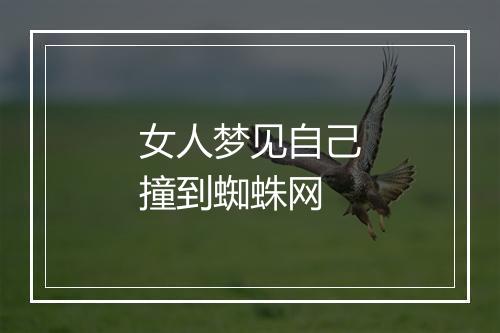 女人梦见自己撞到蜘蛛网