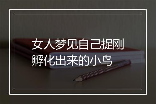 女人梦见自己捉刚孵化出来的小鸟