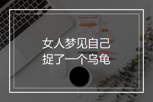 女人梦见自己捉了一个乌龟