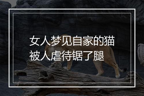 女人梦见自家的猫被人虐待锯了腿