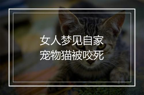 女人梦见自家宠物猫被咬死