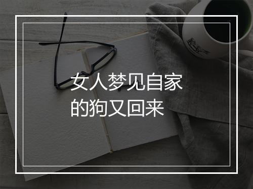 女人梦见自家的狗又回来