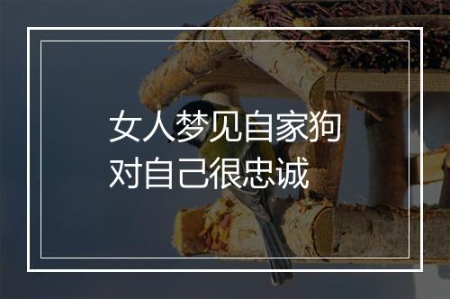 女人梦见自家狗对自己很忠诚