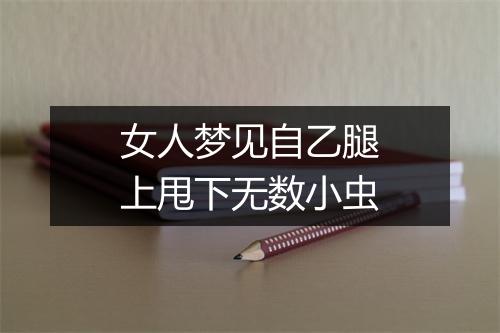 女人梦见自乙腿上甩下无数小虫