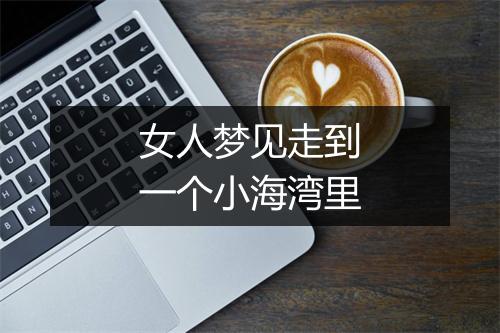 女人梦见走到一个小海湾里