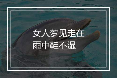 女人梦见走在雨中鞋不湿