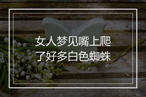 女人梦见嘴上爬了好多白色蜘蛛