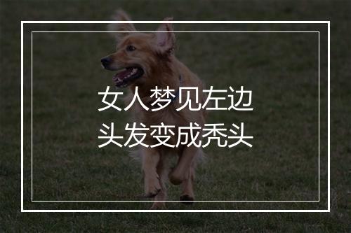 女人梦见左边头发变成秃头