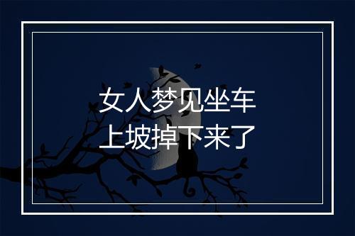 女人梦见坐车上坡掉下来了