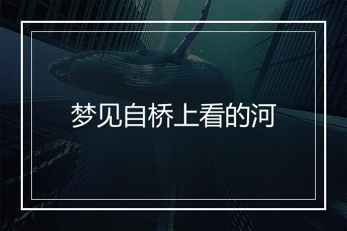 梦见自桥上看的河