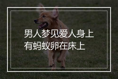 男人梦见爱人身上有蚂蚁卵在床上