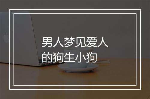 男人梦见爱人的狗生小狗