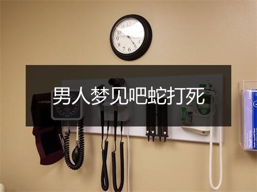 男人梦见吧蛇打死