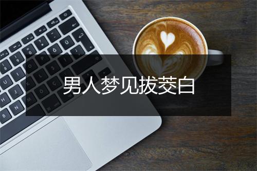 男人梦见拔茭白