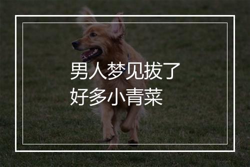 男人梦见拔了好多小青菜