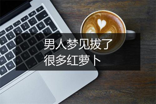 男人梦见拔了很多红萝卜