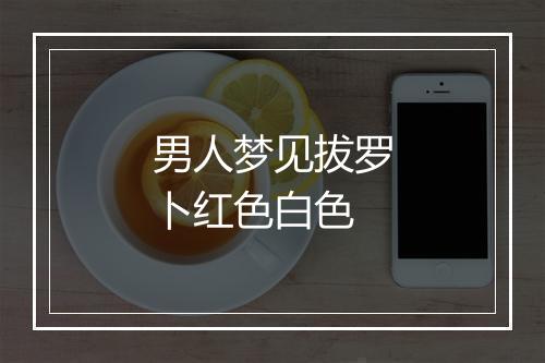 男人梦见拔罗卜红色白色