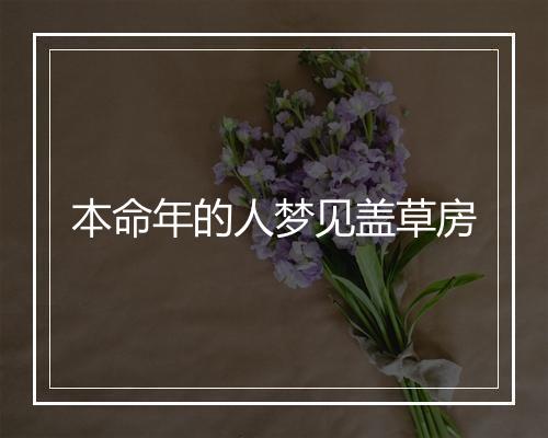 本命年的人梦见盖草房