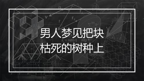 男人梦见把块枯死的树种上