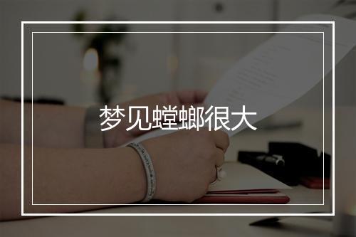 梦见螳螂很大