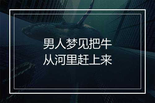 男人梦见把牛从河里赶上来