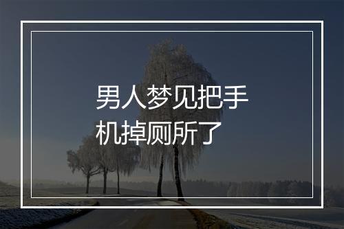 男人梦见把手机掉厕所了