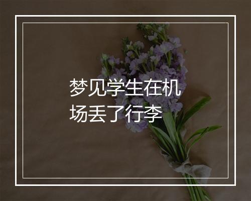 梦见学生在机场丢了行李