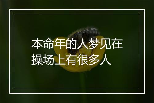 本命年的人梦见在操场上有很多人