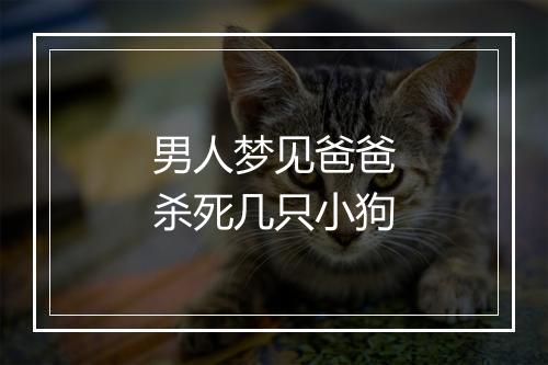 男人梦见爸爸杀死几只小狗