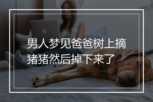 男人梦见爸爸树上摘猪猪然后掉下来了