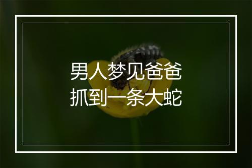 男人梦见爸爸抓到一条大蛇