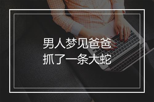 男人梦见爸爸抓了一条大蛇