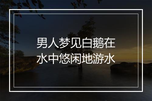 男人梦见白鹅在水中悠闲地游水