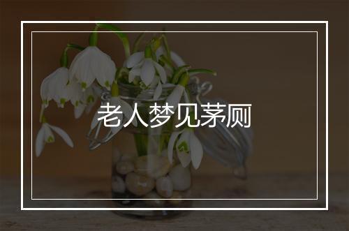 老人梦见茅厕