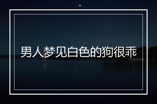 男人梦见白色的狗很乖