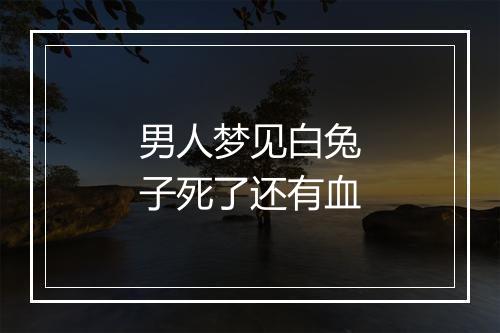 男人梦见白兔子死了还有血